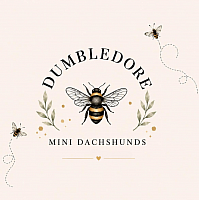 Dumbledore Bumble