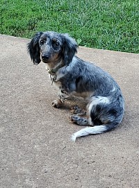 doja